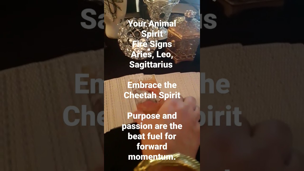 Fire Signs Animal Spirit: Cheetah #firesigns #aries #leo #sagittarius #tarot #thehealingsoultarot