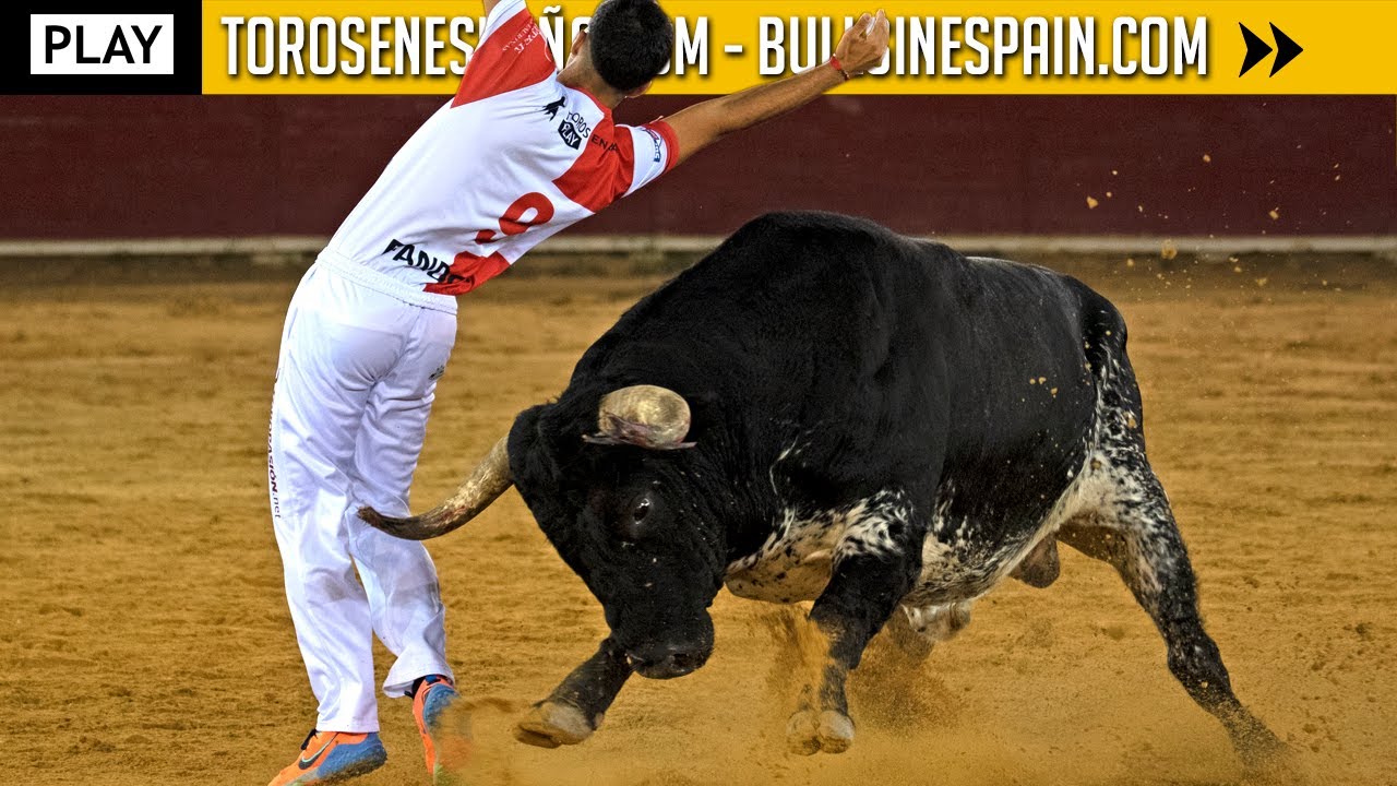EMISIÓN SUPERCOPA TOROS EN ESPAÑA 2023 (FINAL/FASE1)