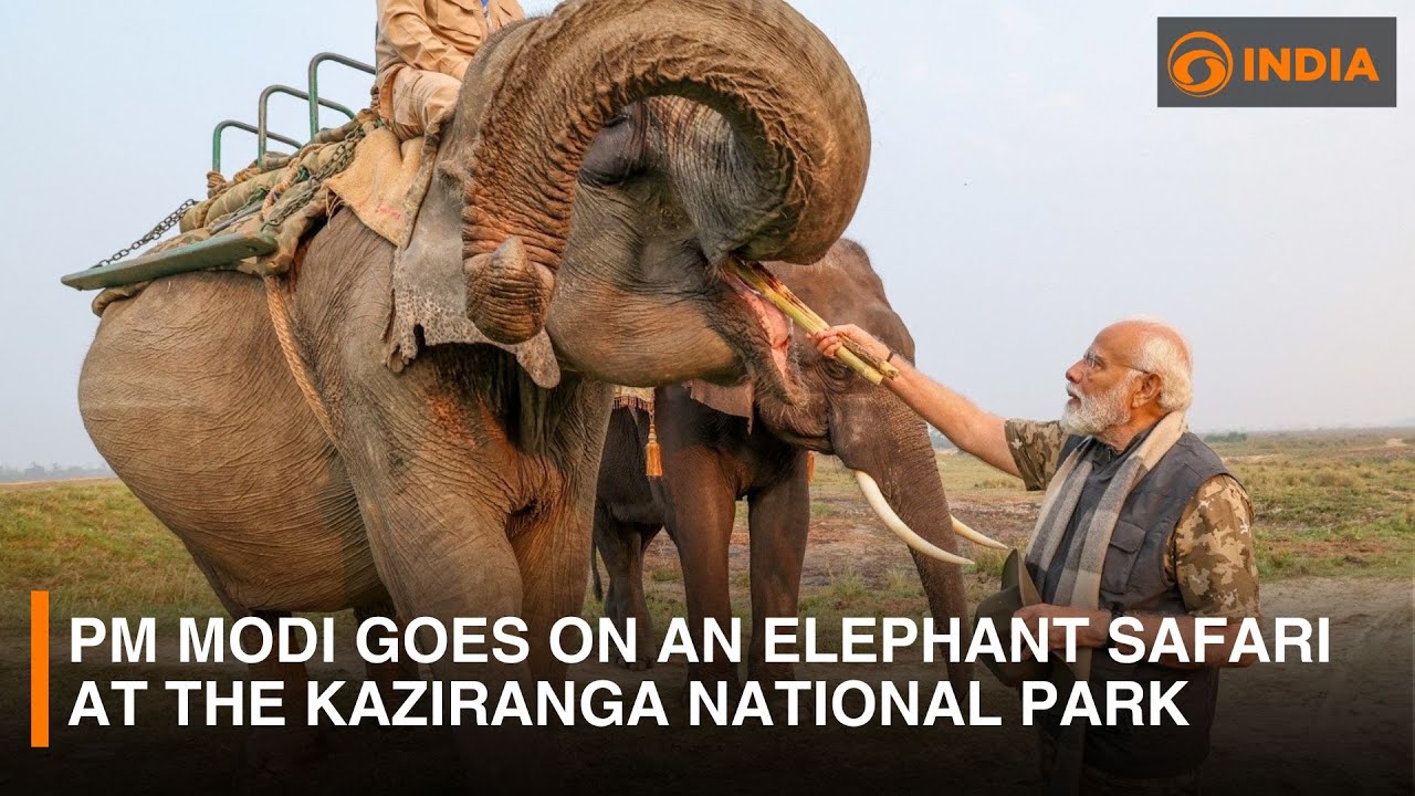 PM Modi goes on an Elephant Safari at the Kaziranga National Park | DD India