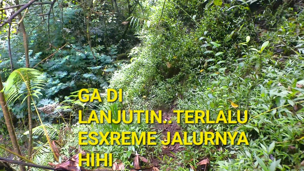 JALUR BELUSUKAN..!!! SAMPE PUTER BALIK..