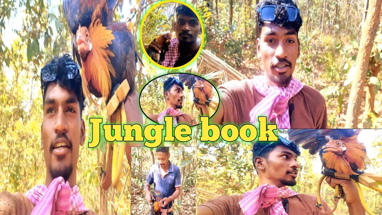 Jungle Book Vlog | Return Of Jungle Book🥷