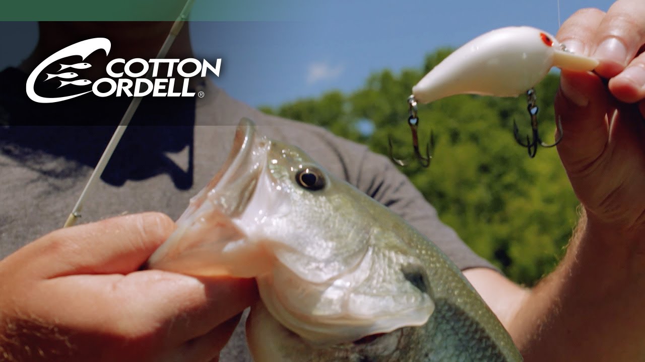 Small Water | How To Choose The Right Crankbait Color