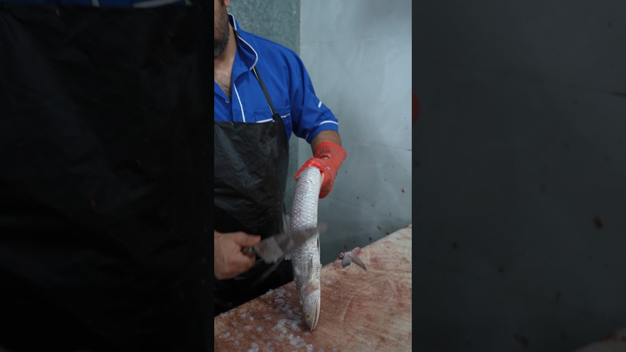 Master Fisherman Cuts Lizardfish in Seconds &ndash; Shocking Skills