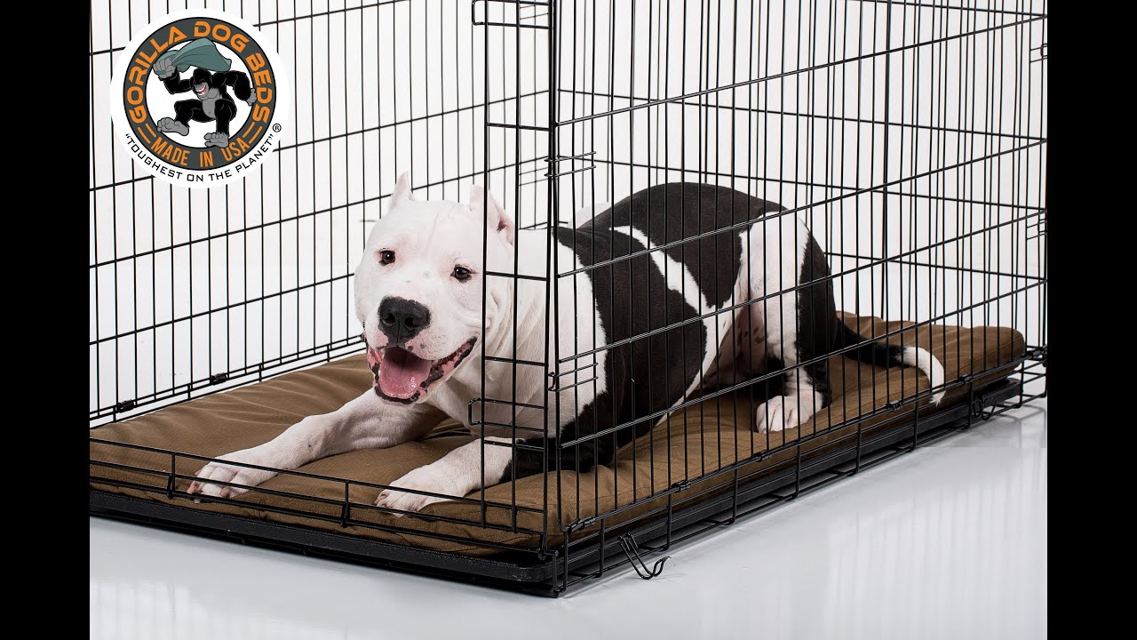 Toughest crate pads on the market. Check it out!