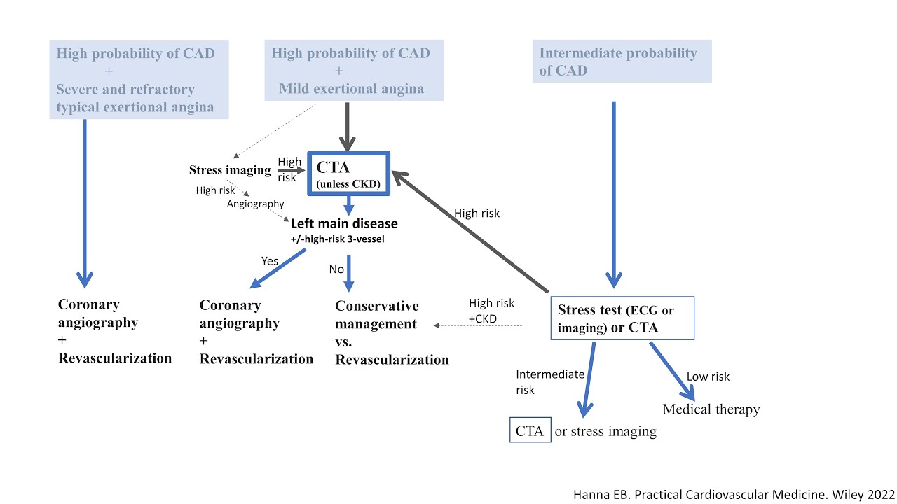 Stable CAD: Revascularization concepts + Diagnostic strategy- Elias Hanna