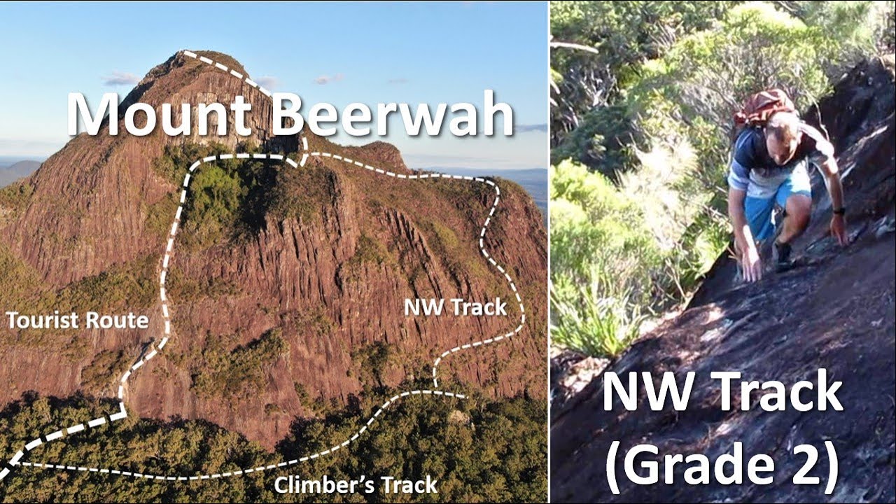 NW Track & Alpine Route, Mount Beerwah, Glass House Mountains