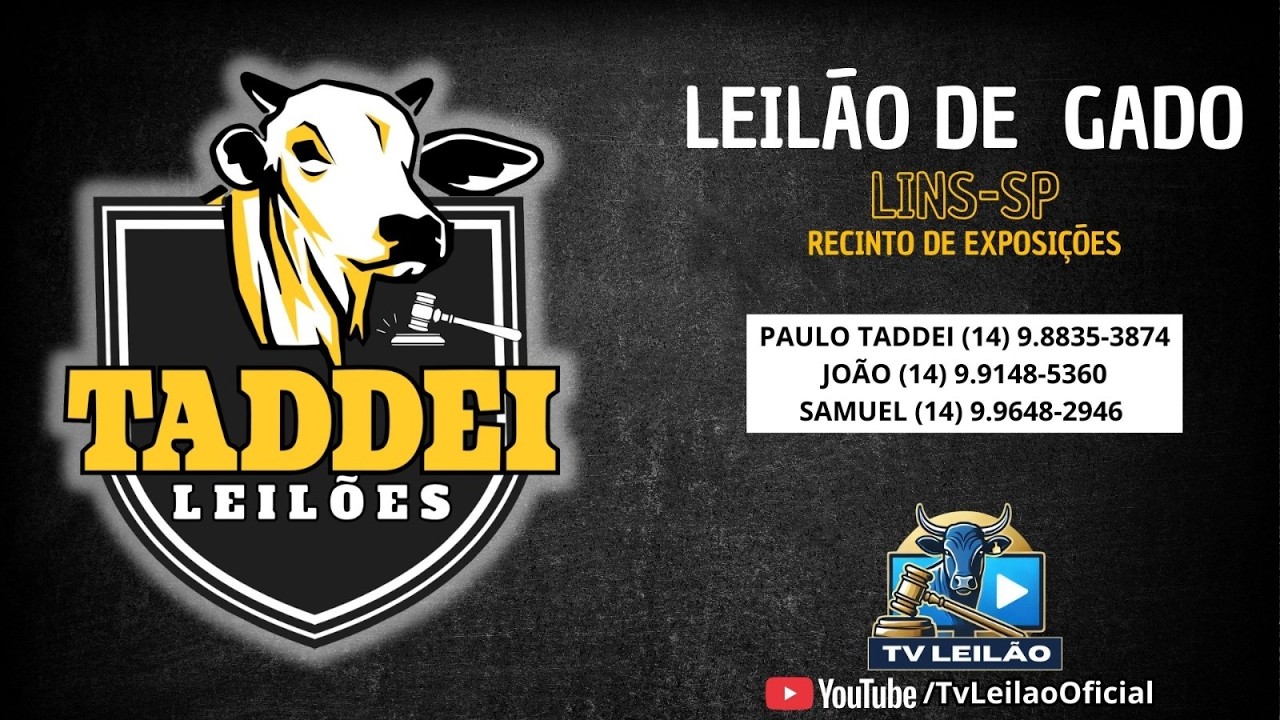 TADDEI LEILÕES AO VIVO - LINS - SP | LEILÃO DE GADO | 25/02/2026