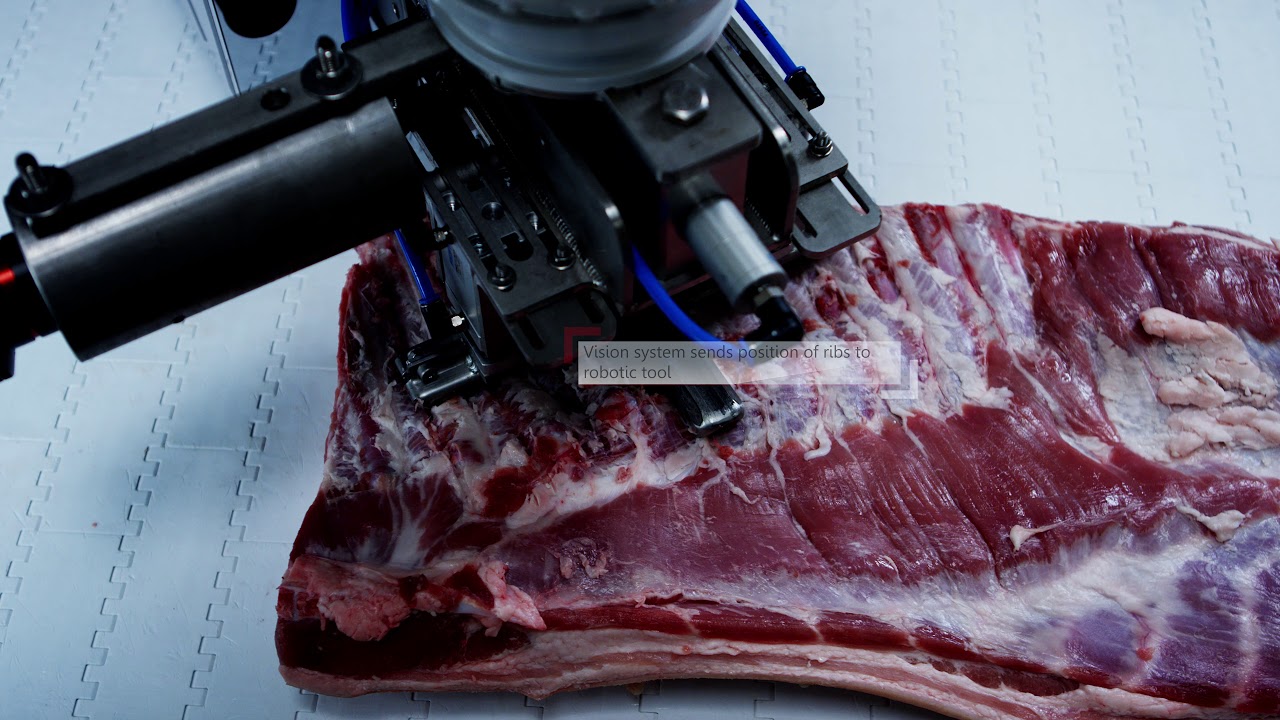 Automatic pulling of ribs from pork bellies