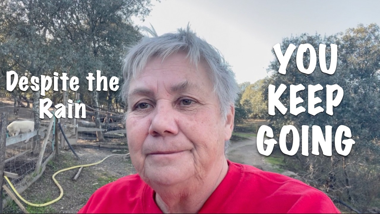 DESPITE THE ENDLESS RAIN, YOU KEEP GOING / OFF-GRID LIFE