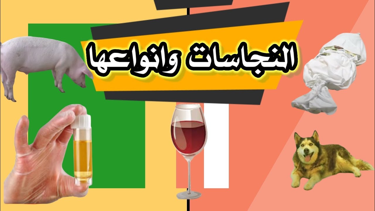 أنواع النجاسات بالصور