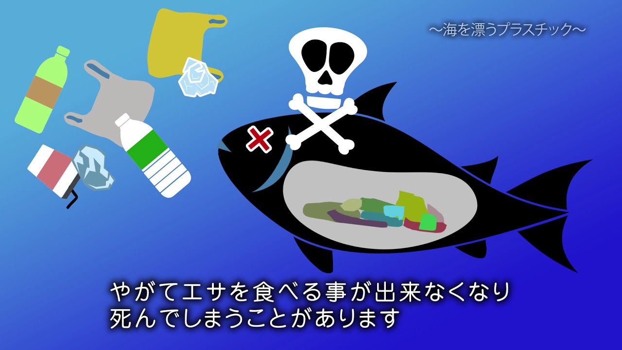 ポイ捨てごみはどこへ行く？～海を漂うプラスチック～