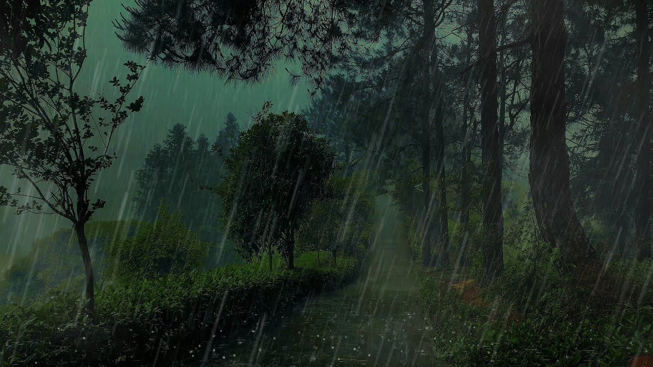 ✅ 《暴雨催眠所｜8D雷暴ASMR》Thunder Sleep: 8D Storm ASMR失眠終結 ， PTSD舒緩｜專注學習，Insomnia Fix & Focus Boost