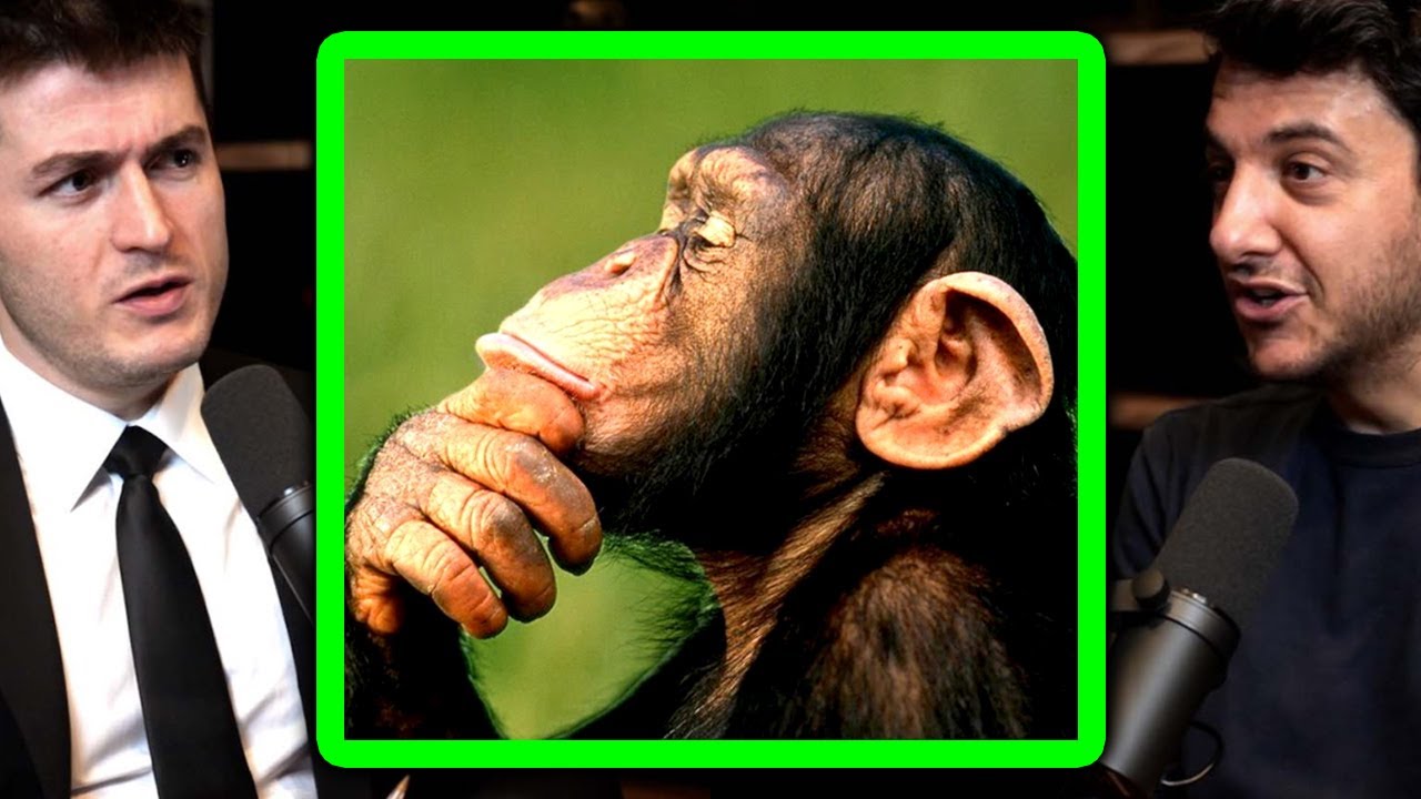 How to think: A framework for overcoming the primitive mind | Tim Urban and Lex Fridman