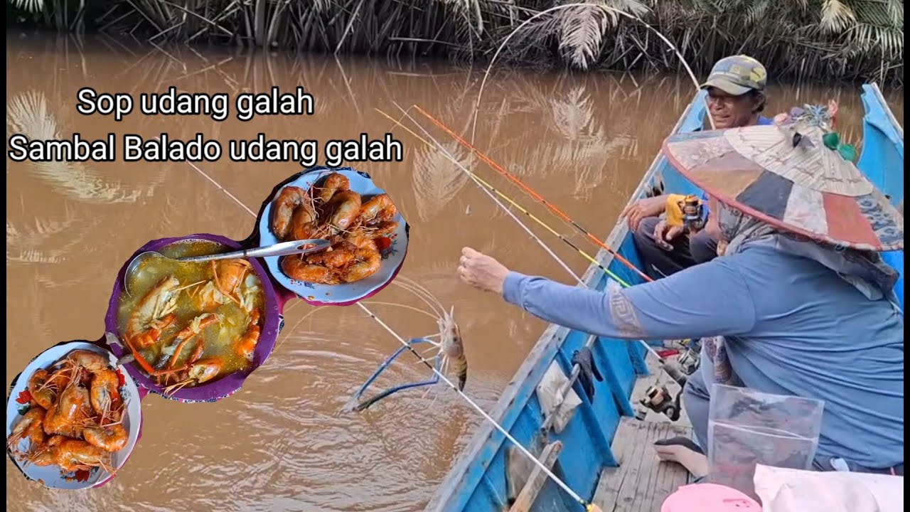 Mancing udang galah lagi bersama istri,hasilnya masak Sambal Balado dan Sup udang galah