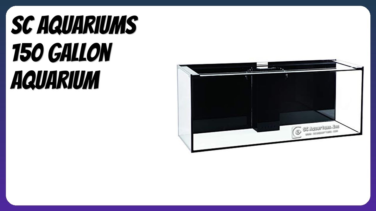 REVIEW (2026): SC Aquariums 150 Gallon Aquarium. Features