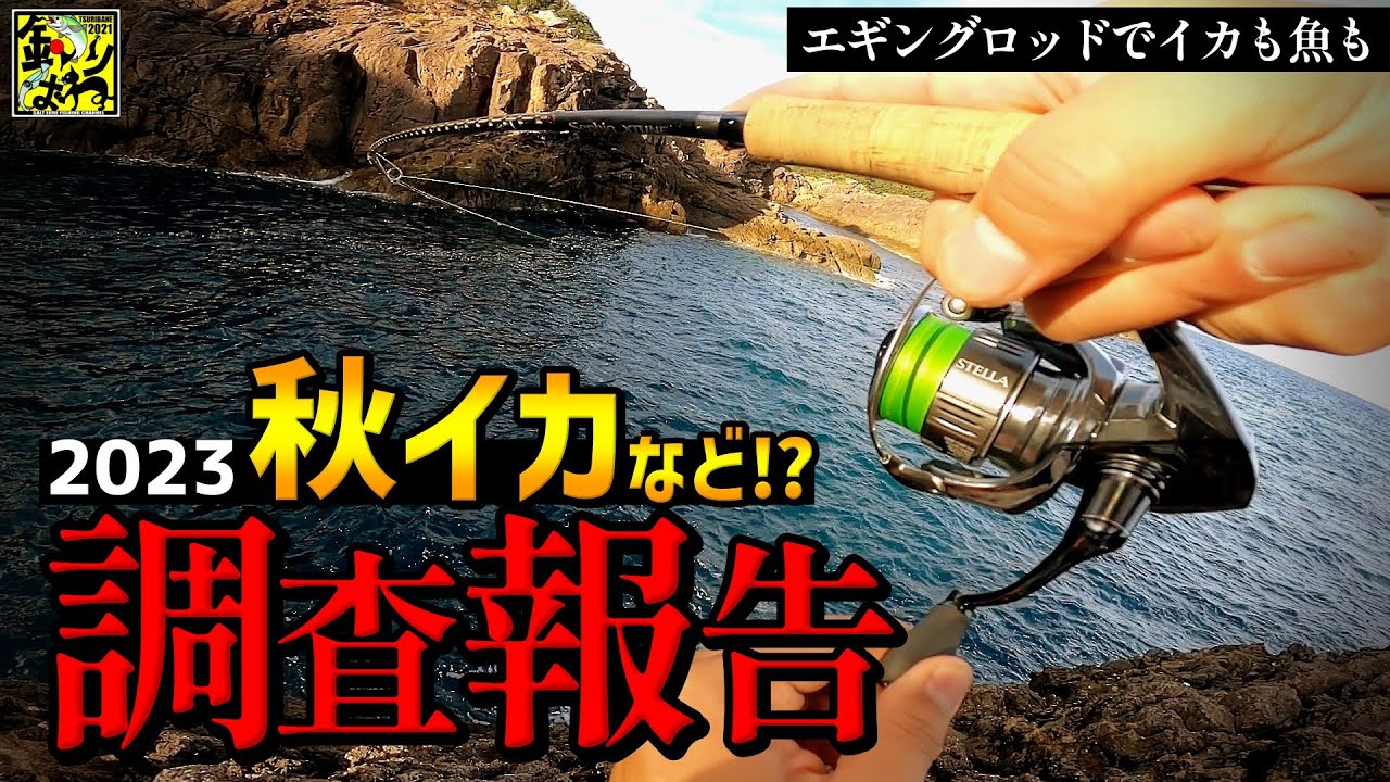 エギング調査で色々釣れてしまった秋の海