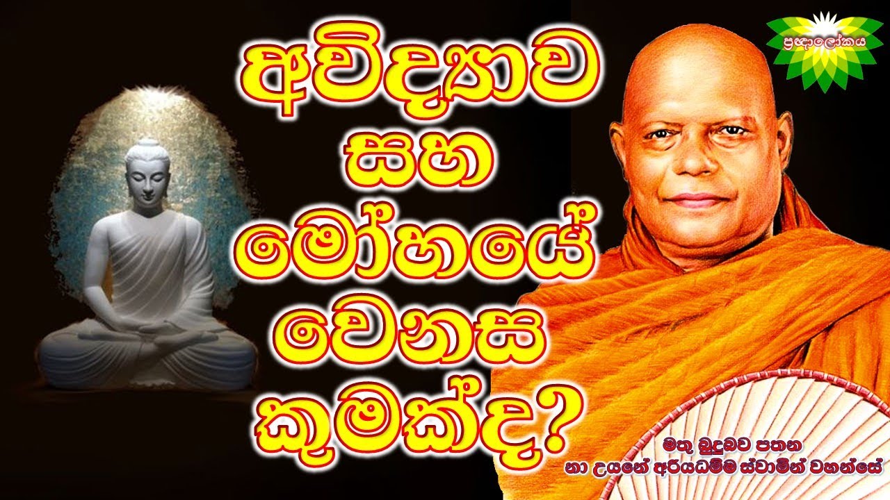අවිද්&zwj;යාව සහ මෝහය අතර වෙනස කුමක්ද ?