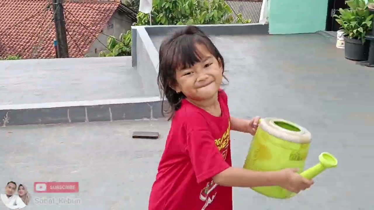 Menyirami Tanaman 