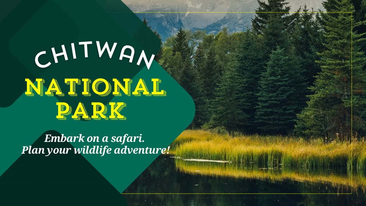 Chitwan National Park Nepal 🇳🇵, One Horned 🦏 Nepal-India Border Crossed , Chitwan to Gorakhpur 🇮🇳