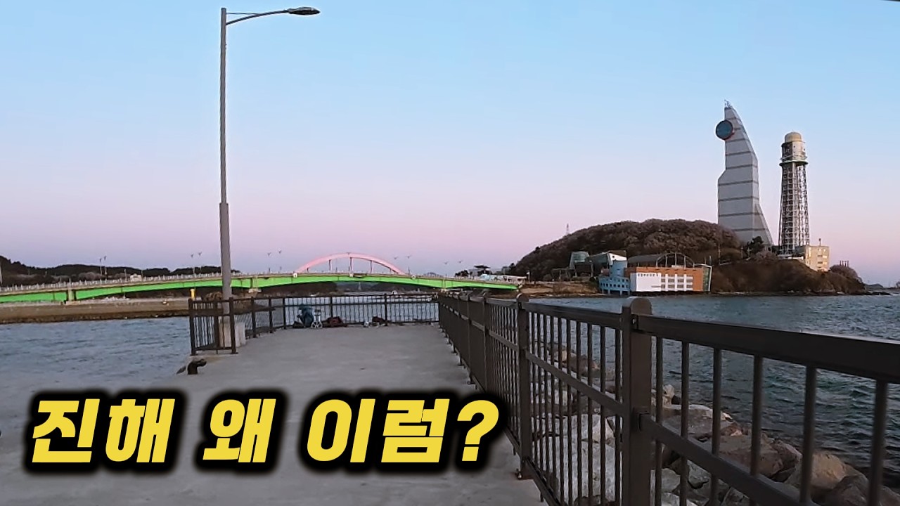 진해 지금 상황... 직접 가봤더니 이렇습니다