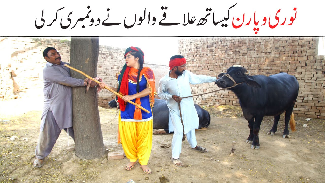 Wada Number Daar Noori Waparan Kirlo Bhola khushia Kirli New Funny Commedy Video 2022 Funny| You Tv
