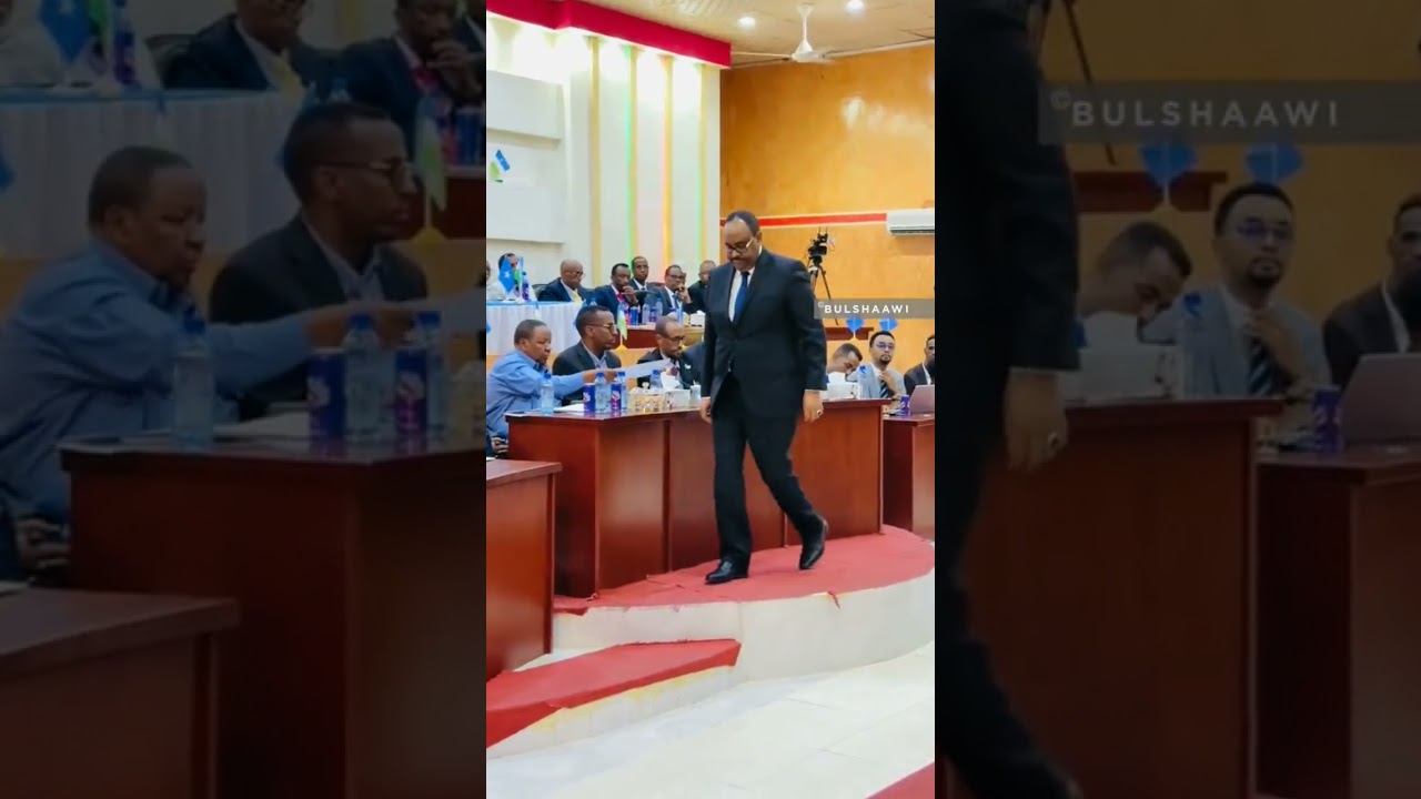 #duet #darisle #somalitiktok #music #dirisle #love #somalia #army #news #somalivoice