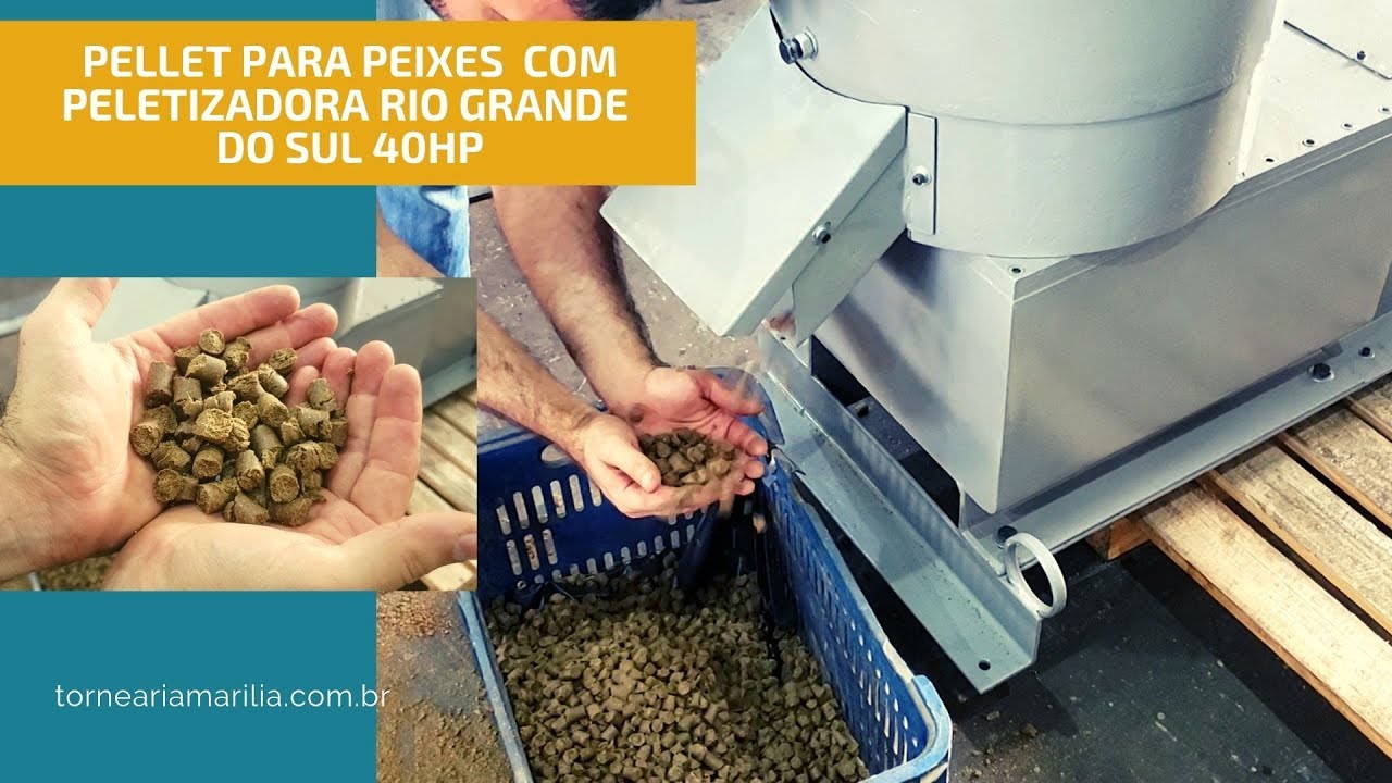 PELLET PARA PEIXES BRUTA COM PELETIZADORA RIO GRANDE DO SUL 40HP