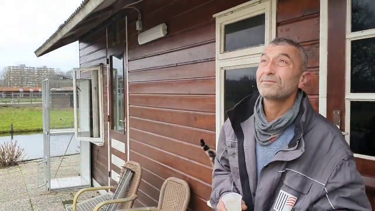 takla guvercin recep abi bi kus hazirlamis beraber izledik iyi seyirler