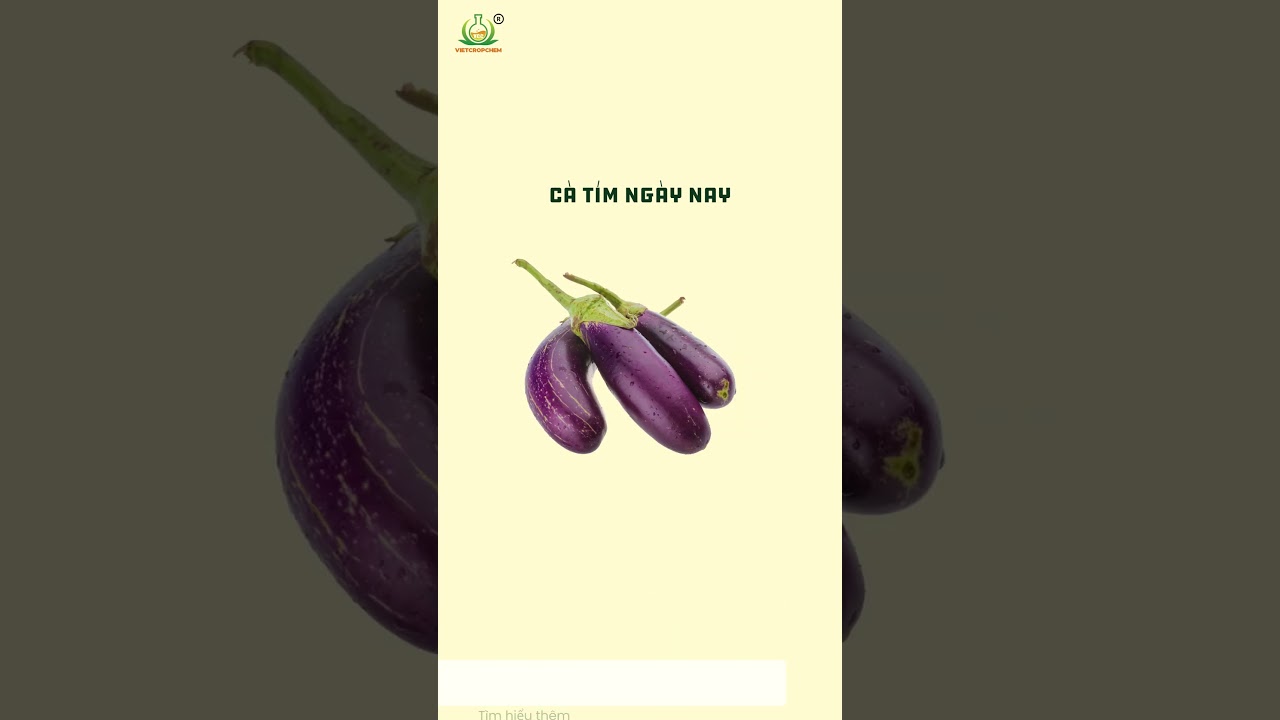 sau khoảng thời gian d&agrave;i qu&aacute; tr&igrave;nh lai tạo giống đ&atilde; cho ra những loại n&ocirc;ng sản như thế n&agrave;o?