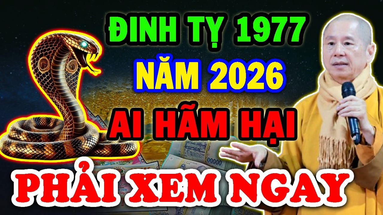 Tử Vi Đinh Tỵ 1977 Năm 2026 Ai Hãm Hại Ai Giúp Đỡ Bạn Sẽ Bất Ngờ Khi Biết Điều Này