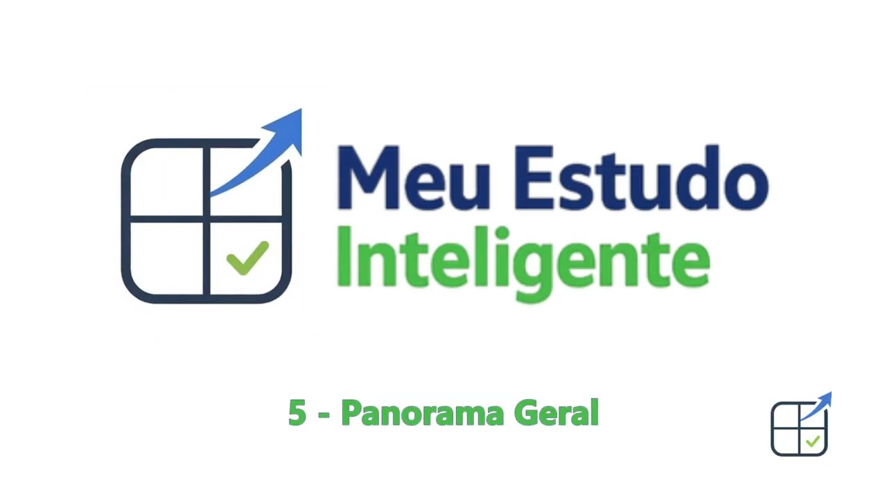 5  - Panorama Geral da Plataforma Meu Estudo Inteligente