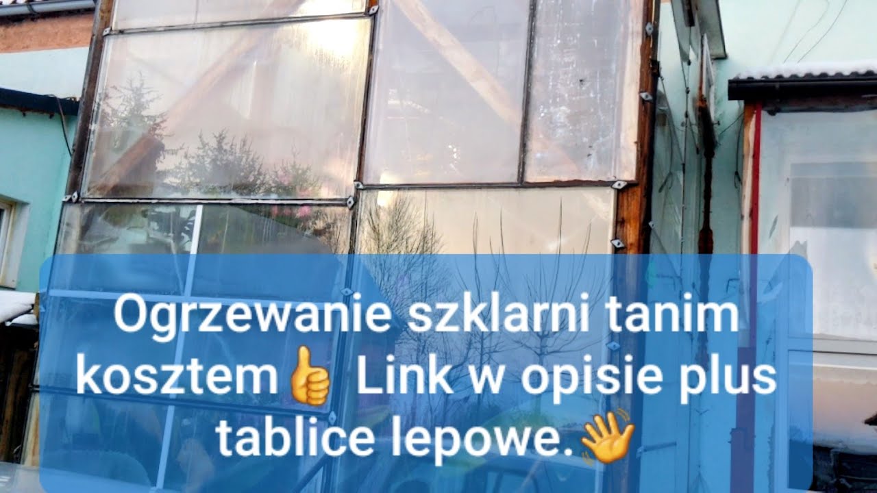 #1255-Podsumowanie ogrzewanej szklarni, wentylator sufitowy. Żółte lepy na muchy, mączlik, muszki.