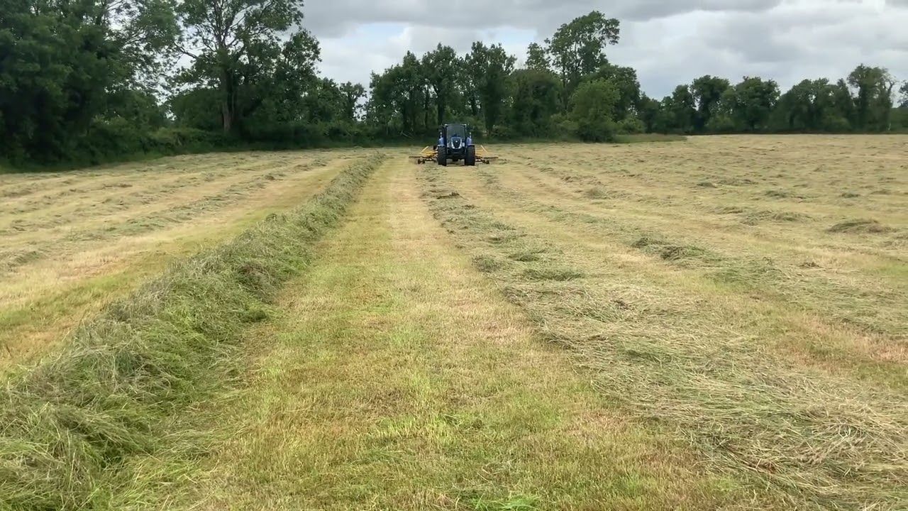 New Holland ProRotor C660 Rake
