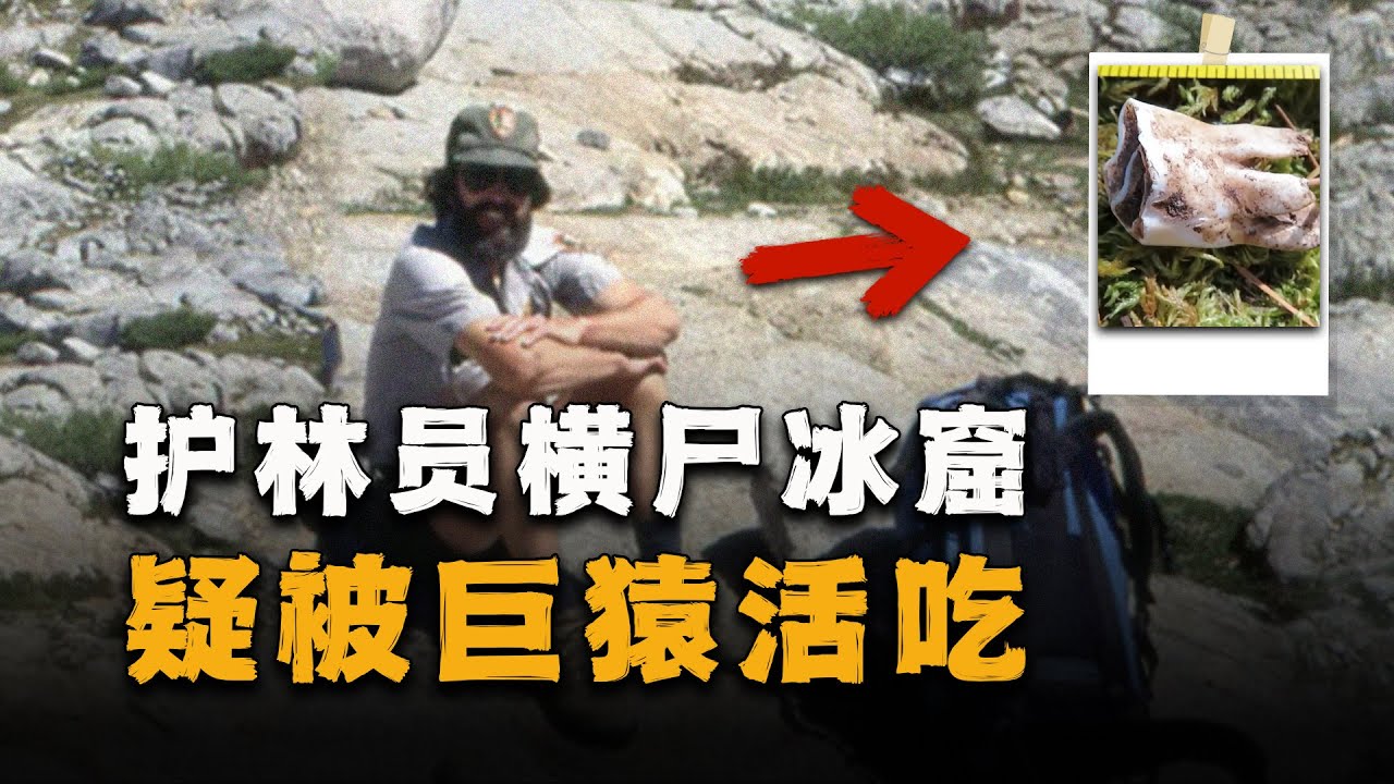 一颗臼齿和两段神秘录音，让人猜测他被巨猿杀死，护林员遗体在冰窟中被找到