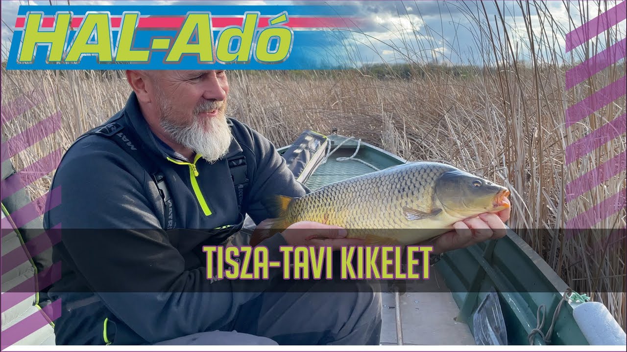 Tisza-tavi kikelet
