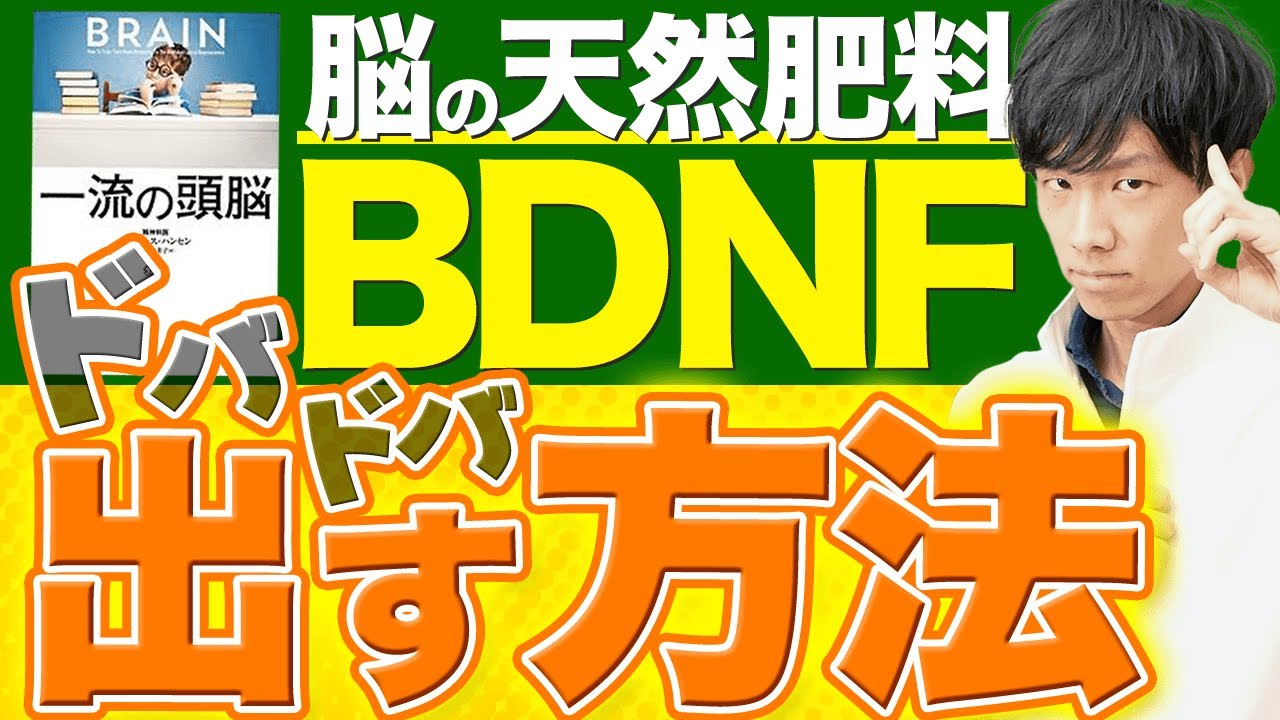 【書籍解説】脳の力を100%引き出す！世界最新知見「一流の頭脳」