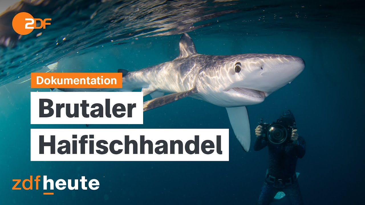 Das gefährliche Geschäft mit dem 