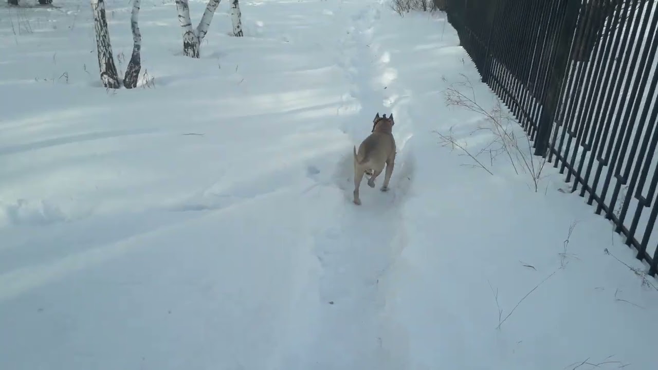 Мой малыш