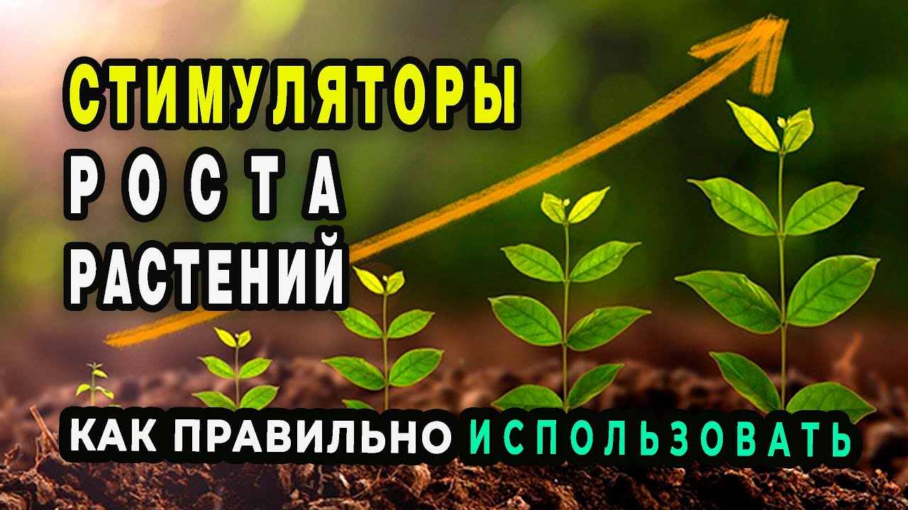 Стимуляторы роста растений РАДИФАРМ, ВИВА, КВИК ЛИНК, МЕГАФОЛ. Как применять. Ответы на вопросы
