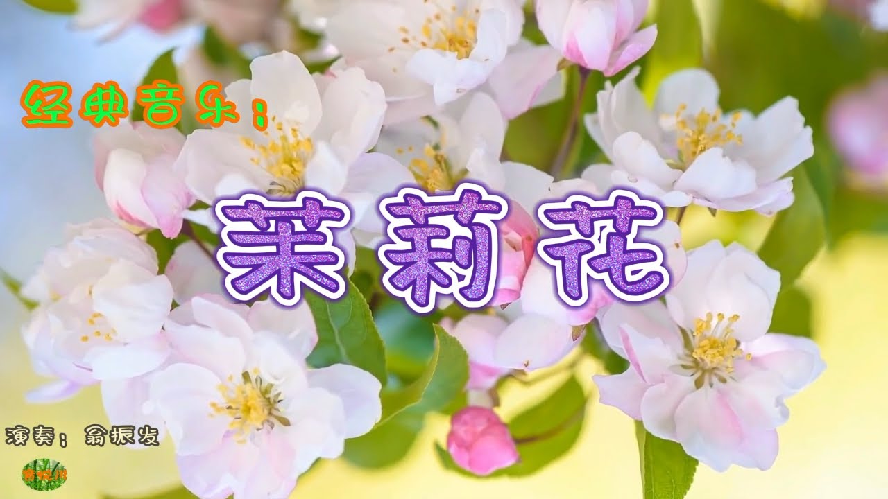茉莉花 - 笙。经典音乐，演奏：翁振发