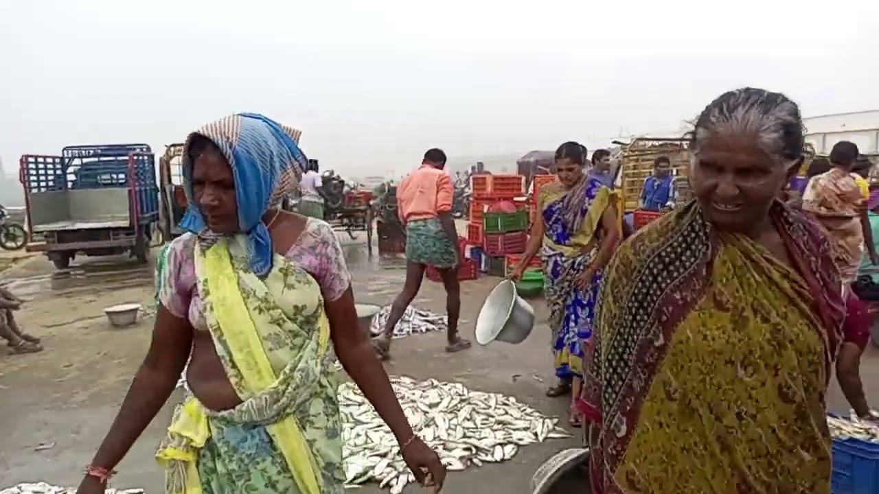 andhrapradesh chepala market #bapatla #fishworld