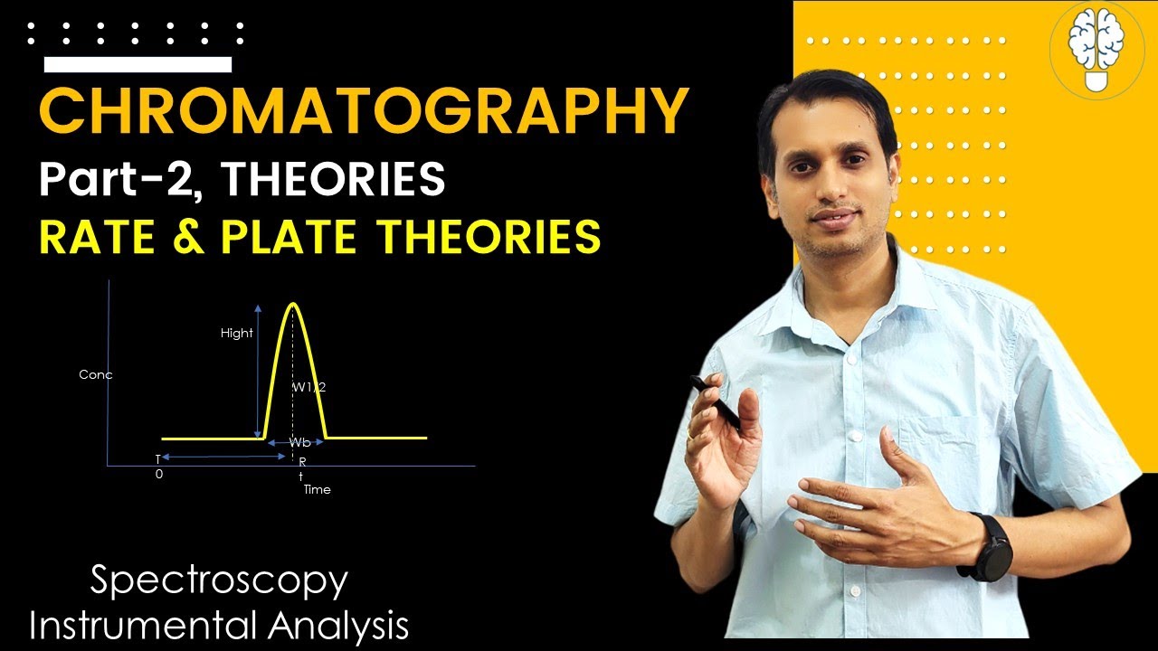Chromatography (Part 2): Plate and Rate Theory of Chromatography