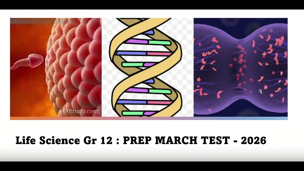 Gr 12 Life Science Term 1 Test Prep 2026