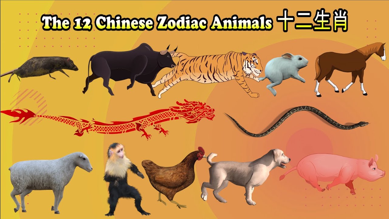 12 Chinese Zodiac Animals十二生肖
