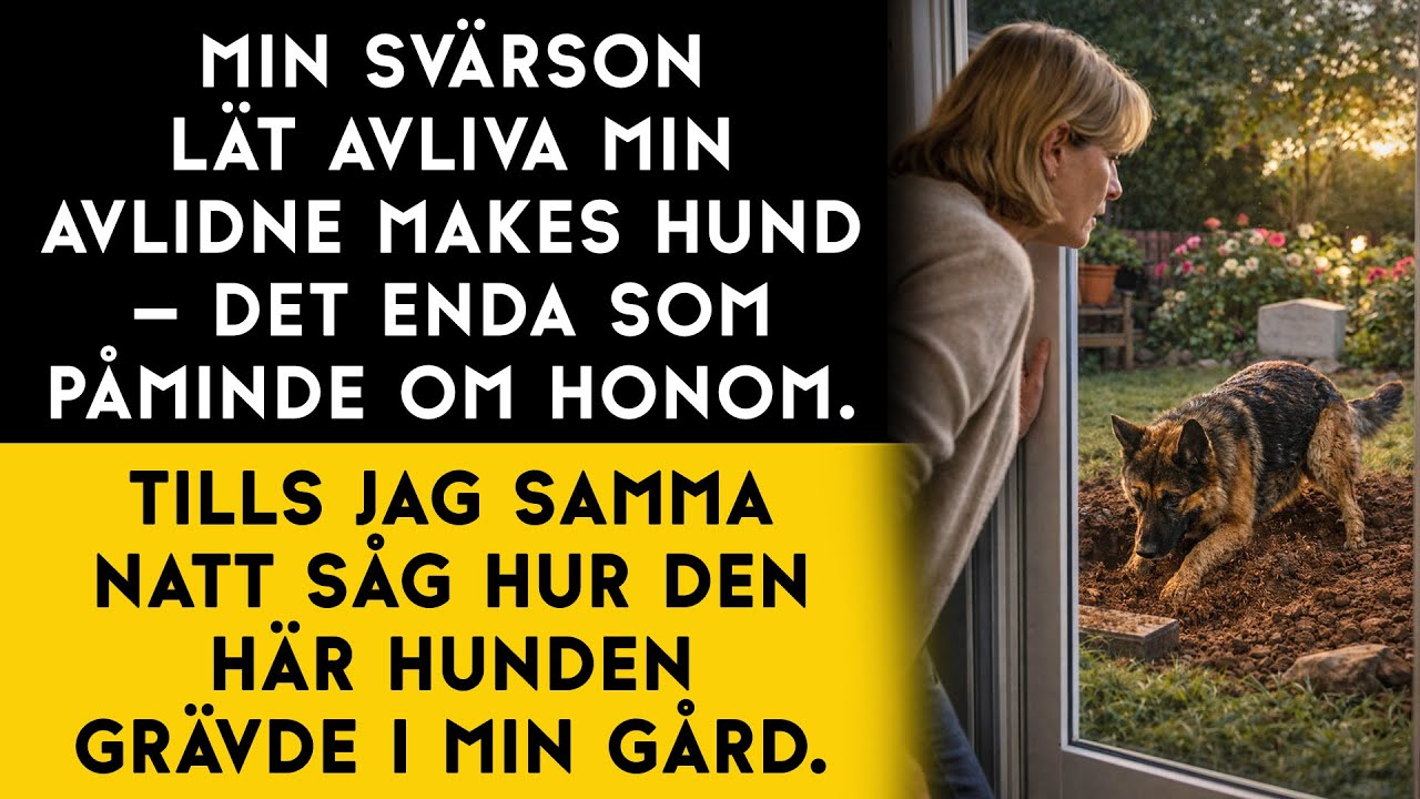 Min gård dolde en hemlighet… och bara min avlidne makes hund kände till den