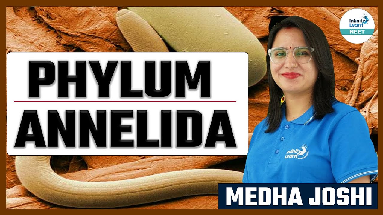 #PhylumAnnelida