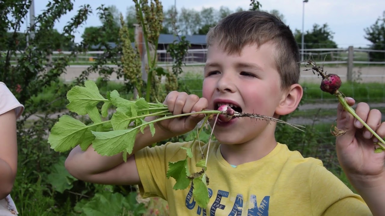 kijkboerderij De Pierlapont - Altijd iets te beleven