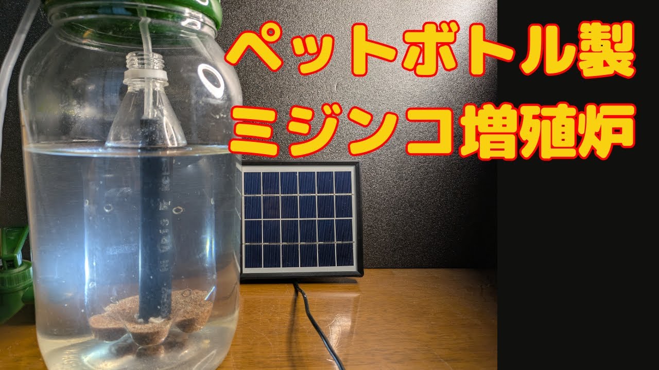 ミジンコ室内飼育用のミジンコ増殖炉。NFESOLARソーラーポンプレビュー