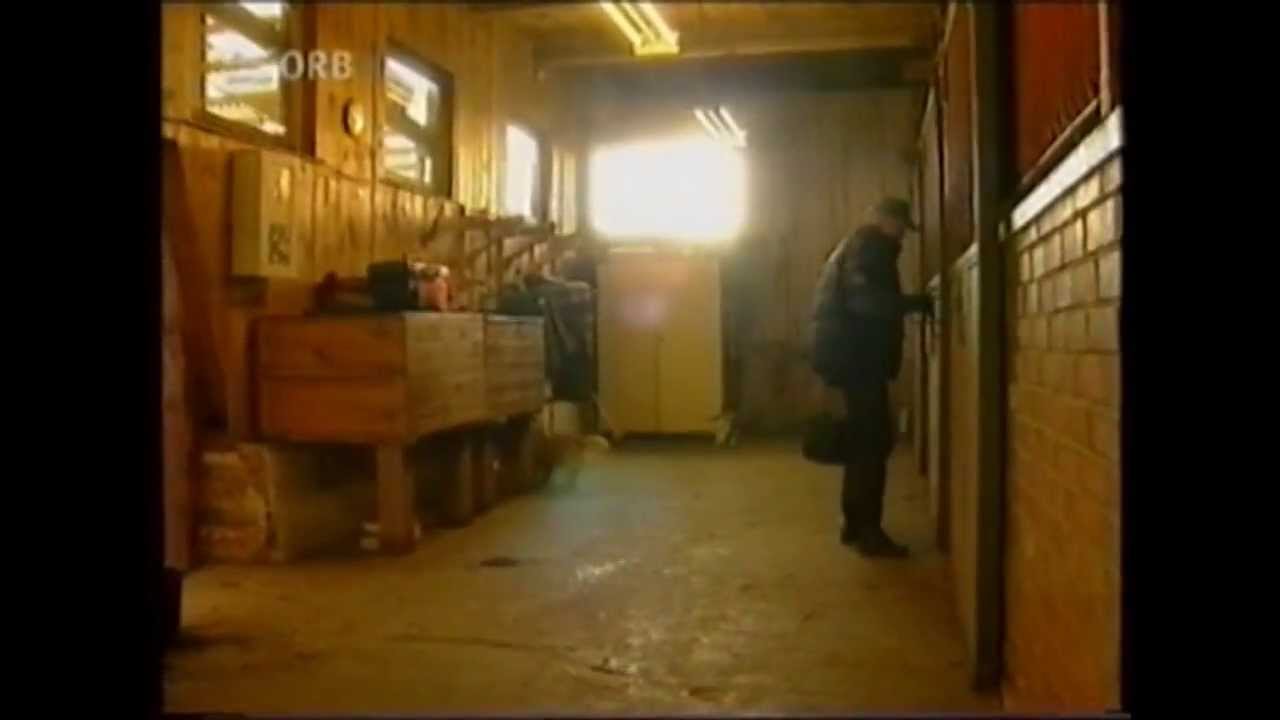 Ostsee-Quadrille: ORB Film 