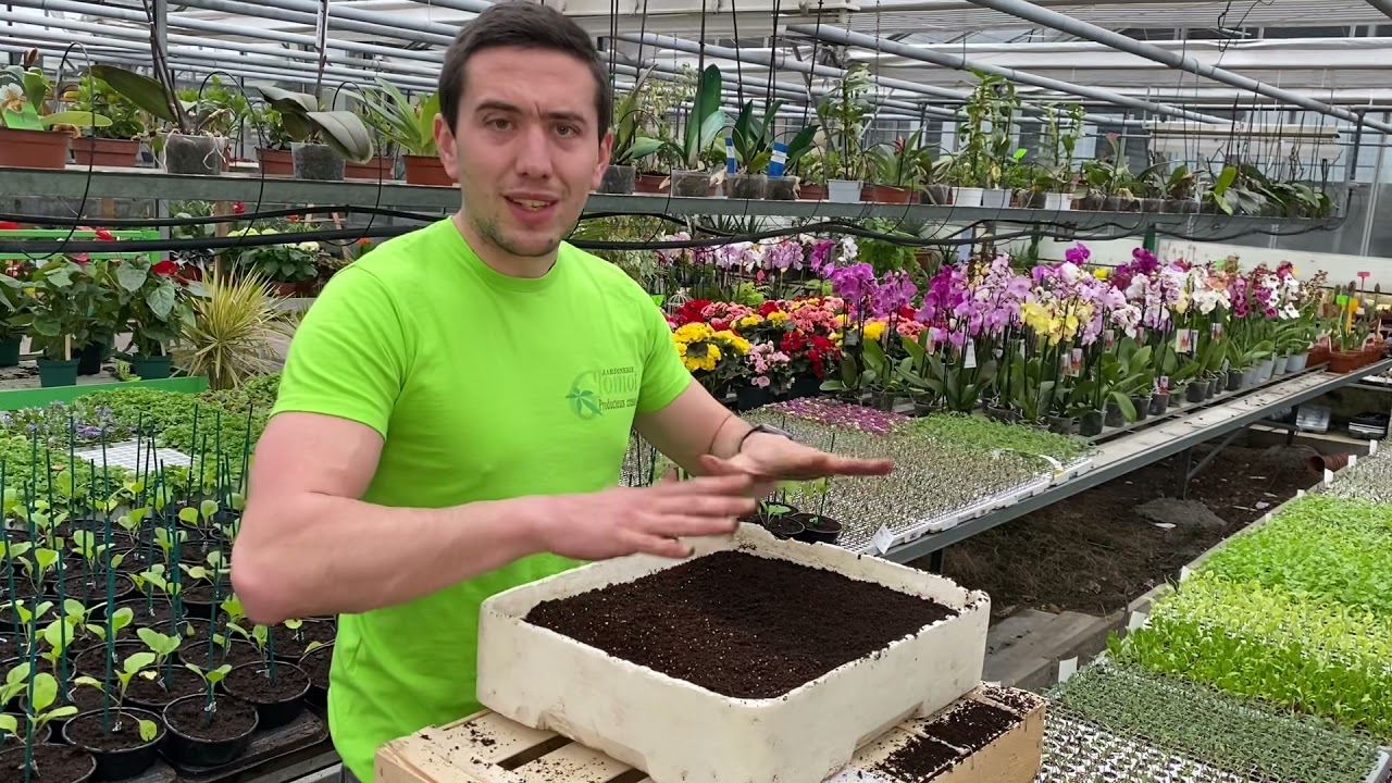 Le semis : faire ses plants soi-même.